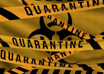 Oms, allerta virus Nipah in India: 2 morti