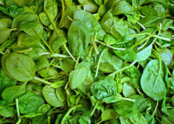 Dieta: gli 8 cibi che ti aiutano a dimagrire