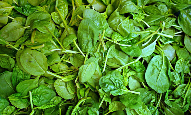 Dieta: gli 8 cibi che ti aiutano a dimagrire