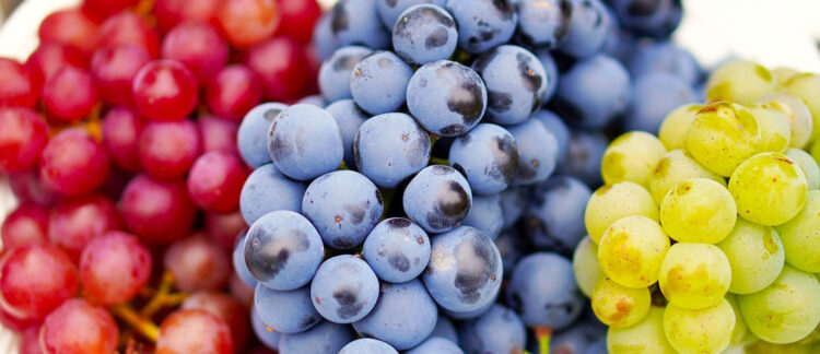 Dieta dell'uva: dimagrimento e bellezza con gusto