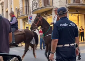 Ragusa: le feste e i cavalli nella nostra provincia