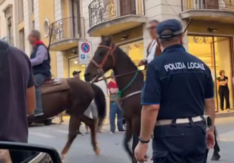 Ragusa: le feste e i cavalli nella nostra provincia