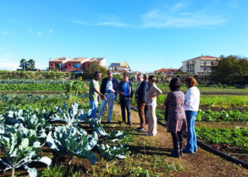 Delegazione americana alla cooperativa Proxima Ragusa