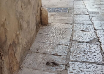 Ragusa Ibla, ancora spazzatura in piazza della Repubblica e anche topi