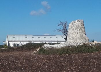 Ragusa, il Prg rispetti il paesaggio agricolo ibleo