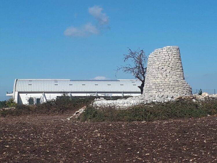 Ragusa, il Prg rispetti il paesaggio agricolo ibleo