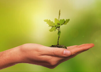 Festa dell'albero a Vittoria