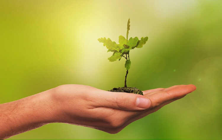 Festa dell'albero a Vittoria