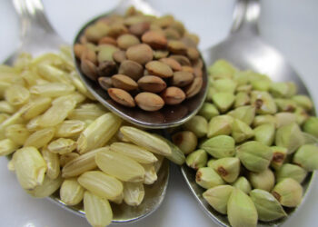 Dieta Franco Berrino: cos'è e come funziona