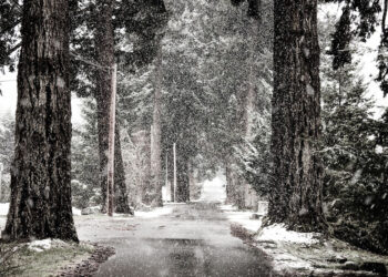 Maltempo in Sicilia: freddo, pioggia e neve