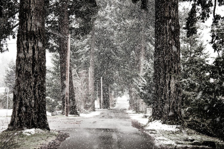 Maltempo in Sicilia: freddo, pioggia e neve