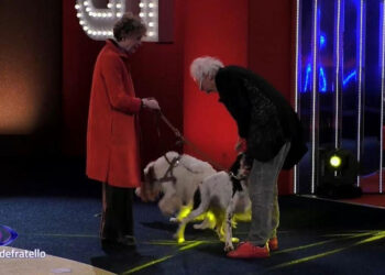 Giampiero Mughini abbraccia la moglie Michela e i suoi due cani: tesori miei