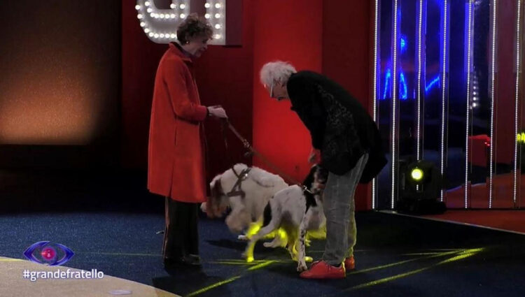 Giampiero Mughini abbraccia la moglie Michela e i suoi due cani: tesori miei