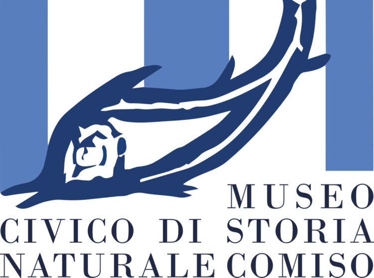 Epifania, apertura straordinaria del Museo di Comiso