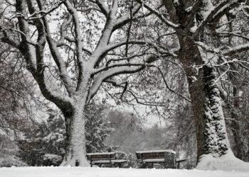 Maltempo, aria artica e neve: la Sicilia trema