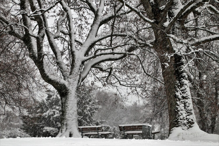Maltempo, aria artica e neve: la Sicilia trema