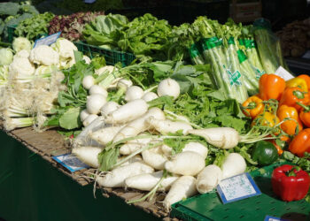 Dieta OMAD: la nuova moda del digiuno intermittente dei Vip