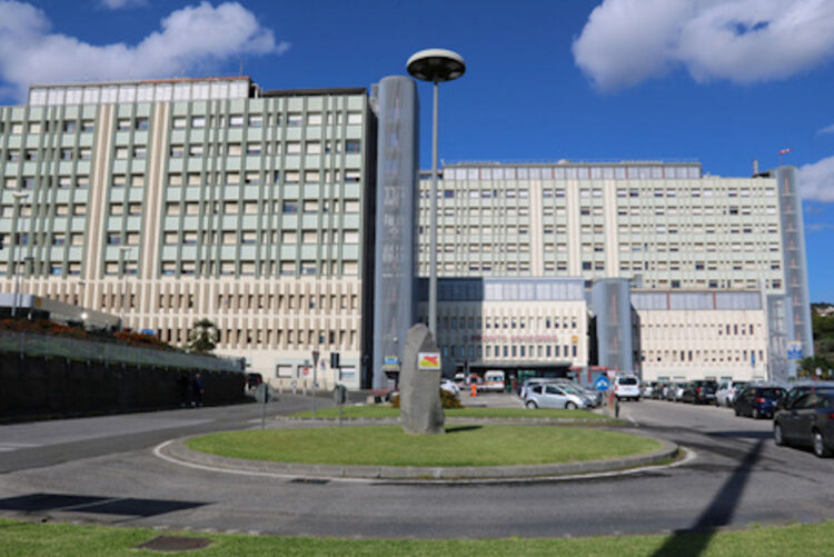 Schiacciato da un furgone mentre lo ripara: muore 25enne