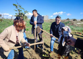 Alberi per il futuro, decine di alberi piantati tra Ragusa, Modica e Vittoria