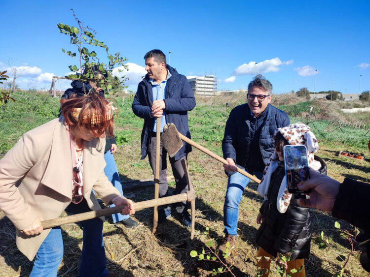 Alberi per il futuro, decine di alberi piantati tra Ragusa, Modica e Vittoria