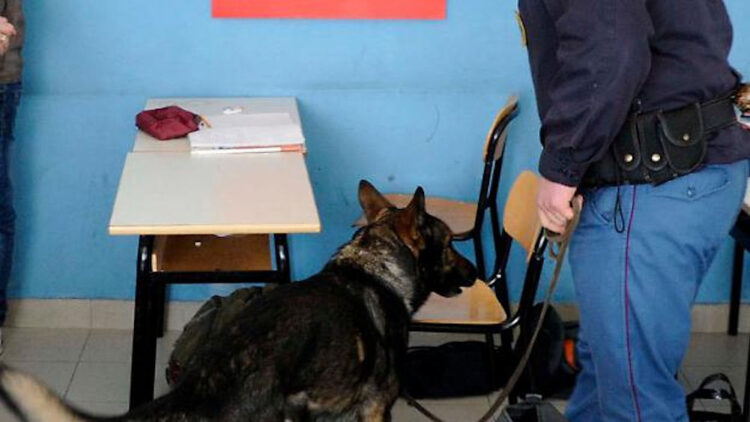 Ragusa, cani antidroga nelle scuole: 20enne con marijuana in aula