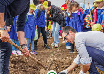 Despar Sicilia 2023: un anno di iniziative sociali e culturali