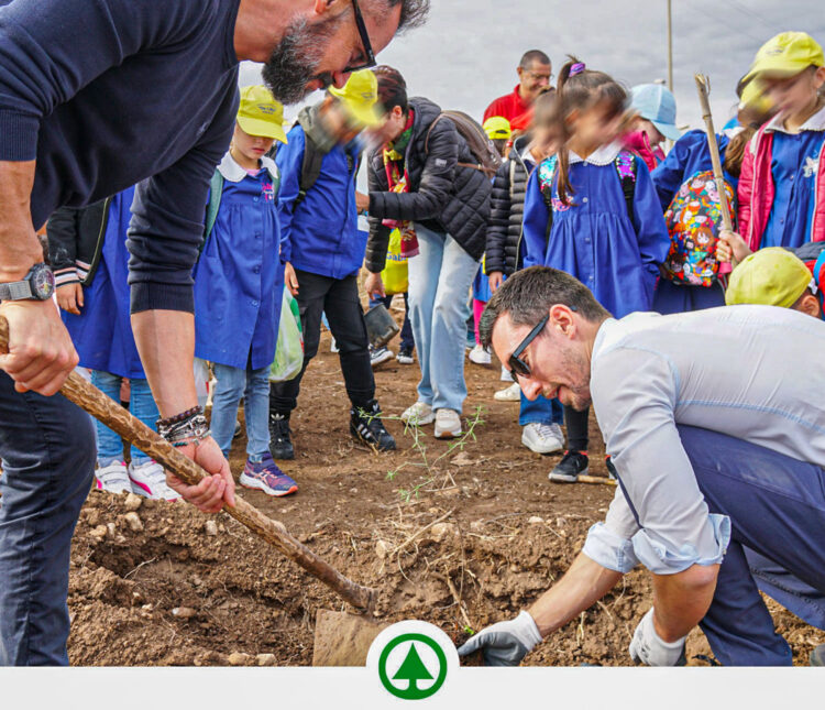 Despar Sicilia 2023: un anno di iniziative sociali e culturali