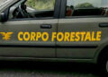 Ars approva la norma che aumenta le giornate lavorative per 16 mila forestali in Sicilia
