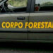 Concorso Forestale in Sicilia, 250 posti con diploma: aperto iter per nuovo bando