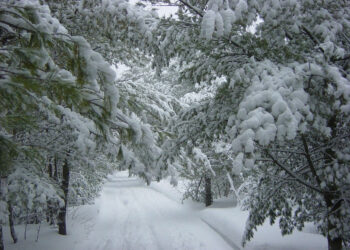 Allerta meteo per un ciclone Atlantico