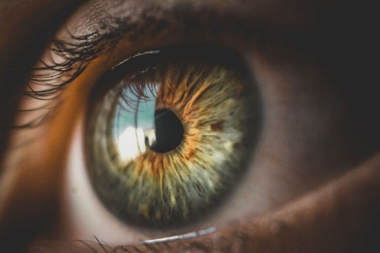 Diabete mellito e retinopatia diabetica: cos'è, sintomi e diagnosi