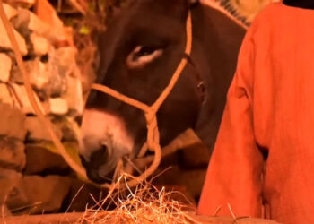 Video di Natale della Polizia di Stato