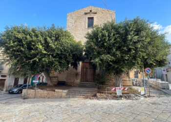 Comiso: continua lo scempio di alberi in centro storico