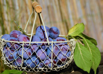 la prugna come antiossidante