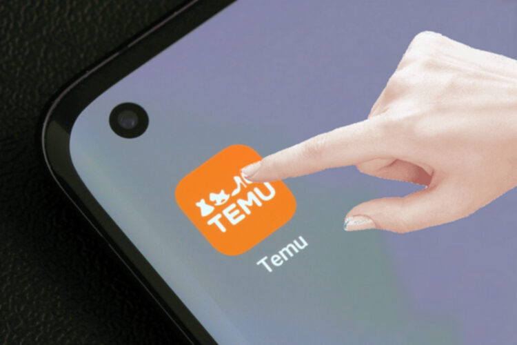 shopping online con TEMU