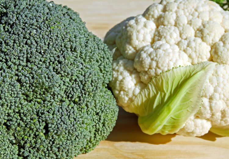 Dieta vegana: cosa mangiare