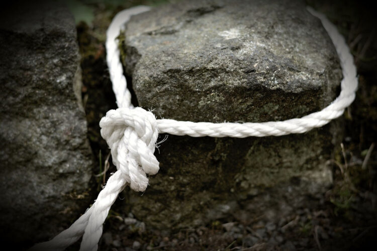 Orrore a Rosolini: cane impiccato in strada