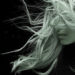 Capelli lunghi: i 5 rimedi naturali