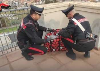 28enne con 6 kg di marijuana in casa pronta per i pusher: era ai domiciliari