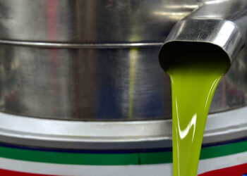 Imbottigliavano olio in pessime condizioni e senza autorizzazione: chiusa azienda nel ragusano