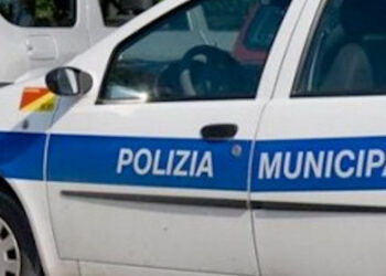 Cavallo trovato morto sul ciglio della strada: forse dopato per corse clandestine