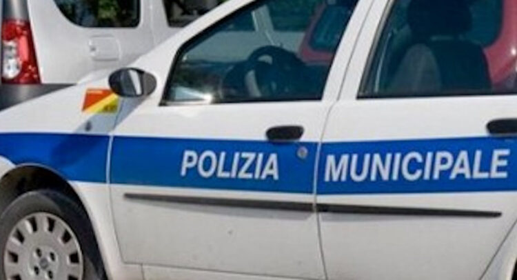 Cavallo trovato morto sul ciglio della strada: forse dopato per corse clandestine
