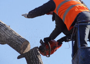Legambiente Scicli “Kiafura”, appello per una gestione del patrimonio verde urbano
