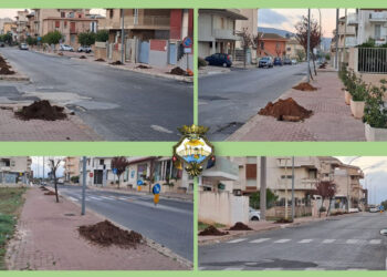 Comiso, 45 nuovi alberi in viale della Resistenza