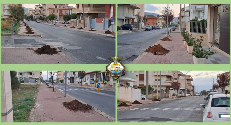 Comiso, 45 nuovi alberi in viale della Resistenza