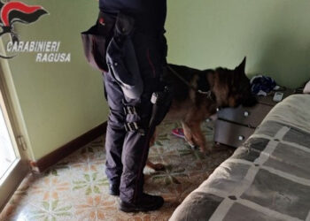 Ispica, 19enne con cocaina e hashish: arrestato