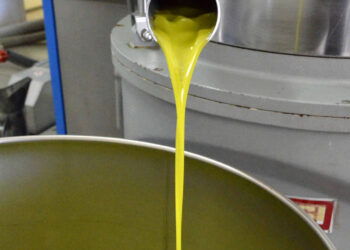 L’olio Dop dei monti iblei tra i banchi di scuola al Ferraris di Ragusa