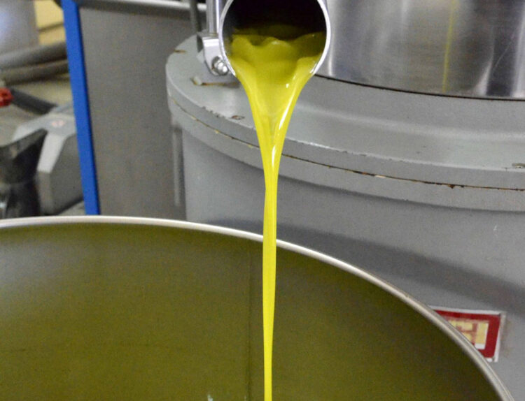 L’olio Dop dei monti iblei tra i banchi di scuola al Ferraris di Ragusa