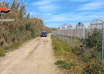 Caporalato a Ispica, arrestati 3 imprenditori