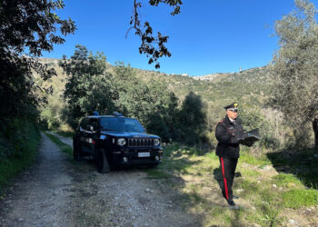 Due fratelli ragusani ai domiciliari per lesioni personali e minacce